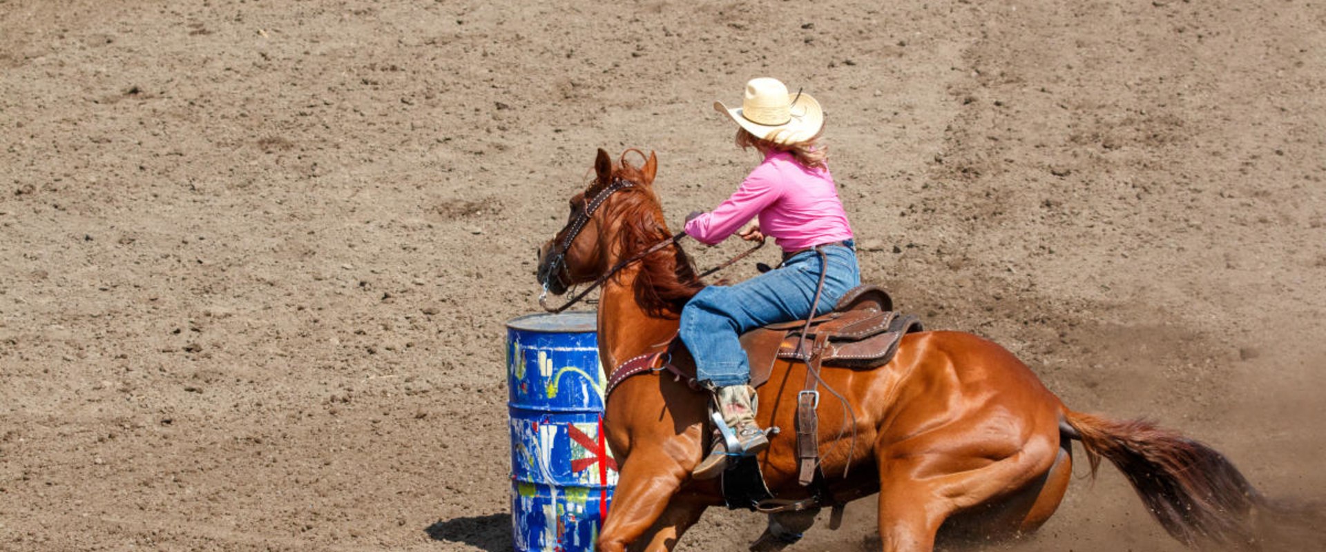 Expert Tips for Staying Updated on Equine Events in Southwest Washington