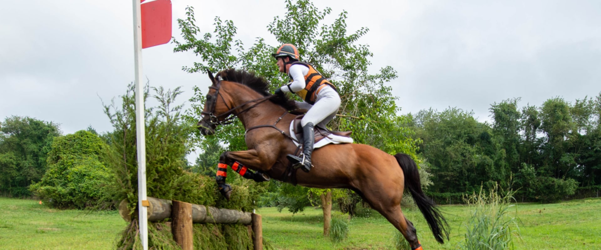 Maximizing Your Presence at Equine Events in Southwest Washington