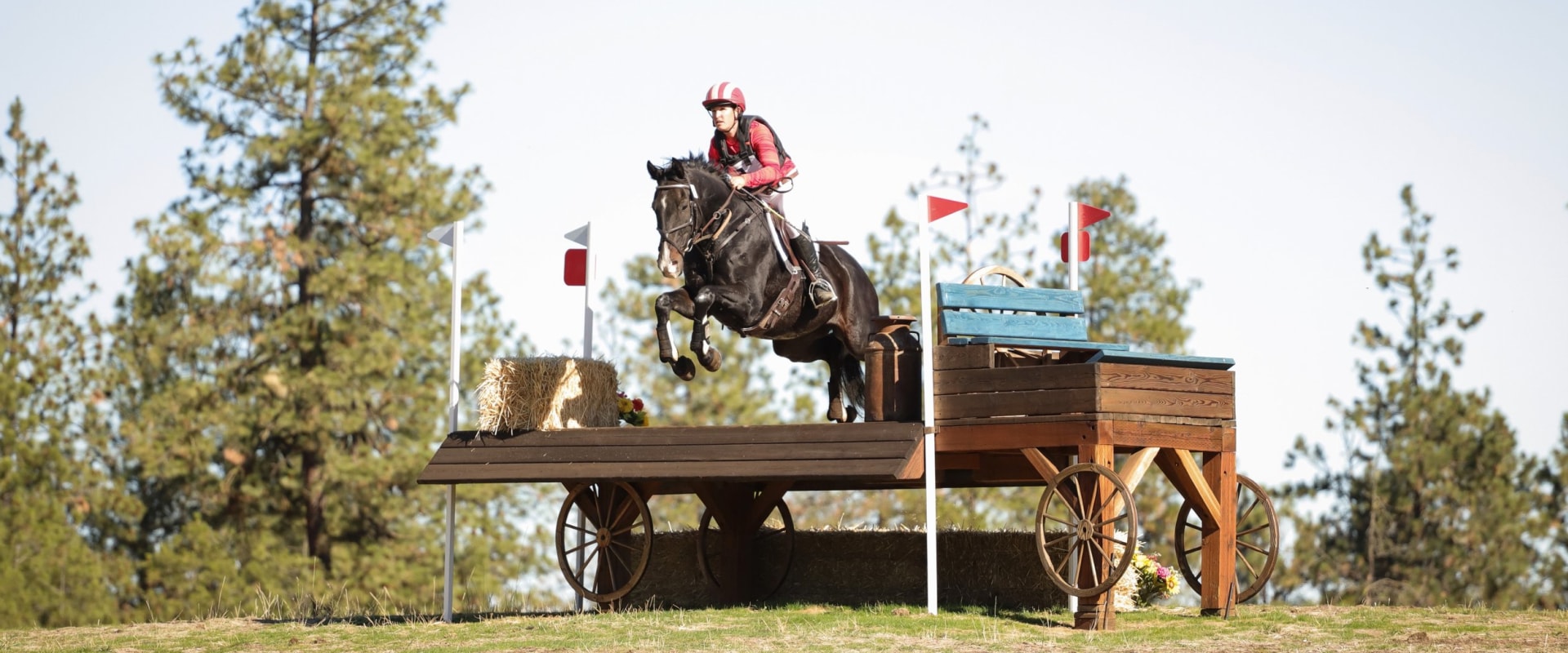Exploring Equine Events in Southwest Washington