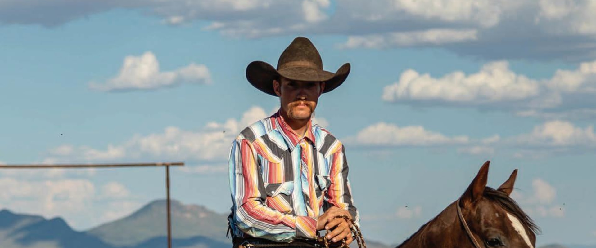 Unlocking Special Discounts for Equine Events in Southwest Washington