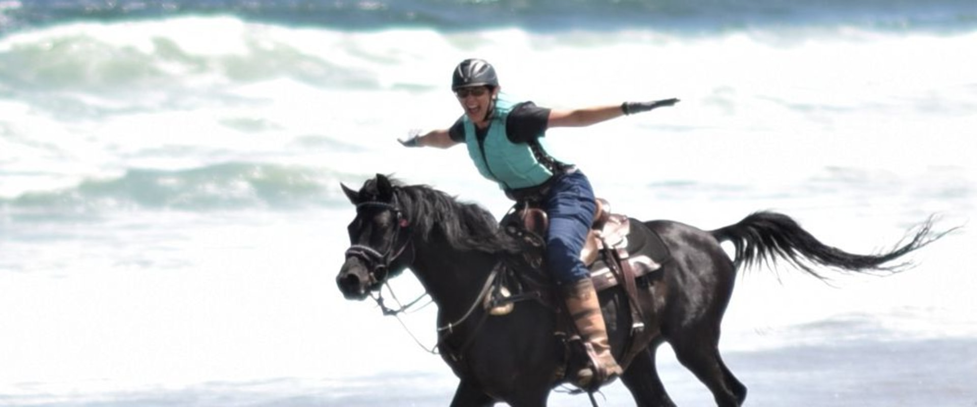 Why You Can't Miss the Equine Expo in Southwest Washington