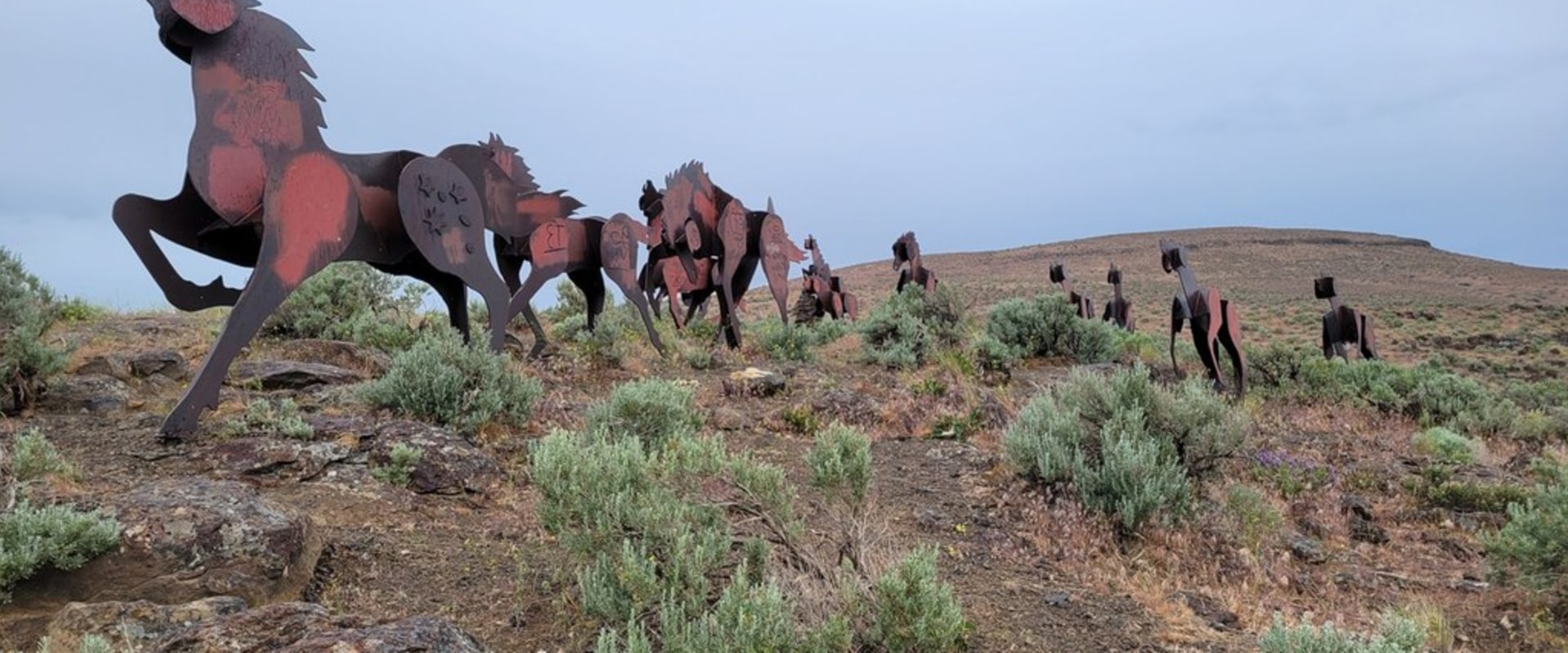 Exploring the Equine Community in Southwest Washington