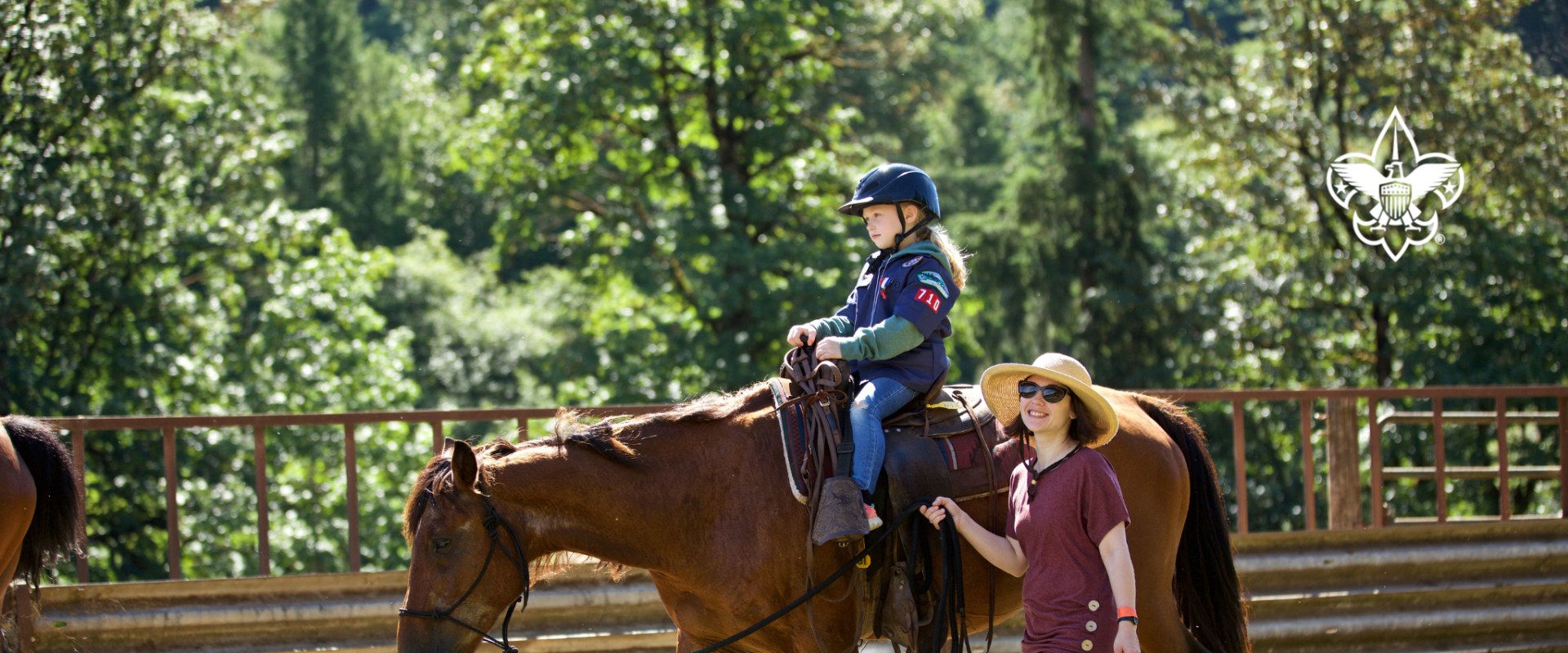 Discovering the Enchanting Equine Events in Southwest Washington