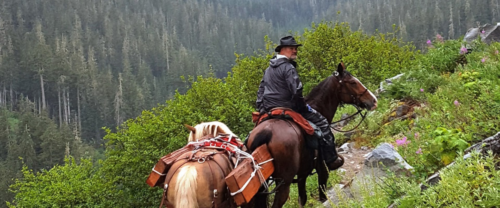 The Ultimate Guide to Bringing Your Horse to Equine Events in Southwest Washington