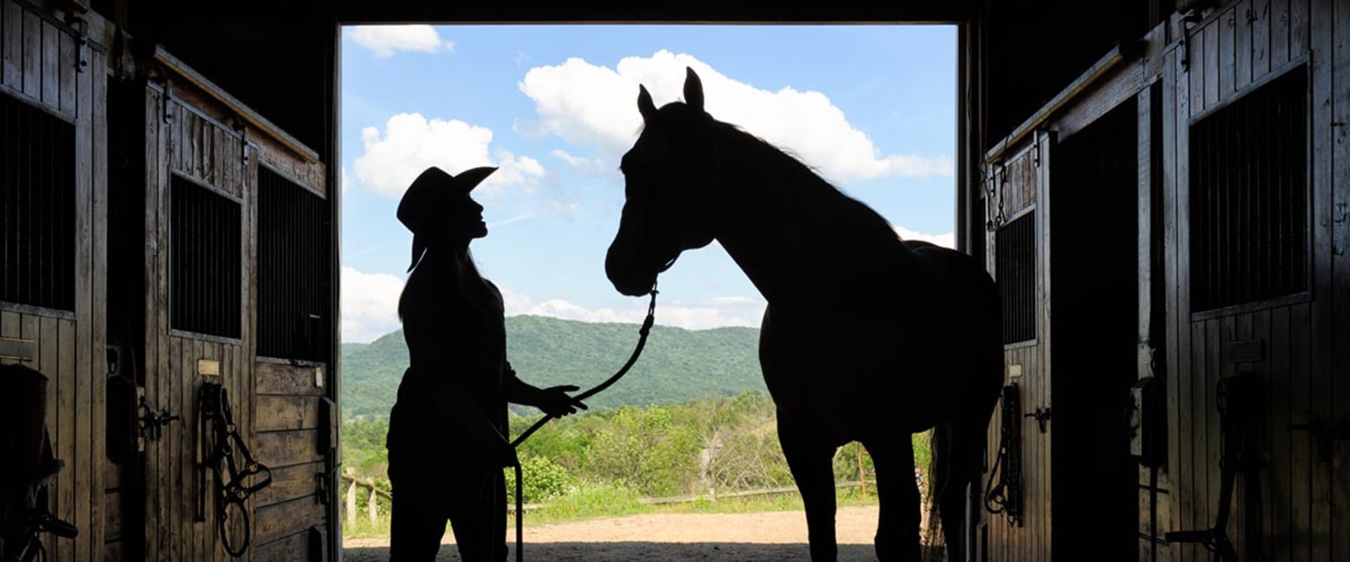 The Ultimate Guide to Attending Equine Events in Southwest Washington