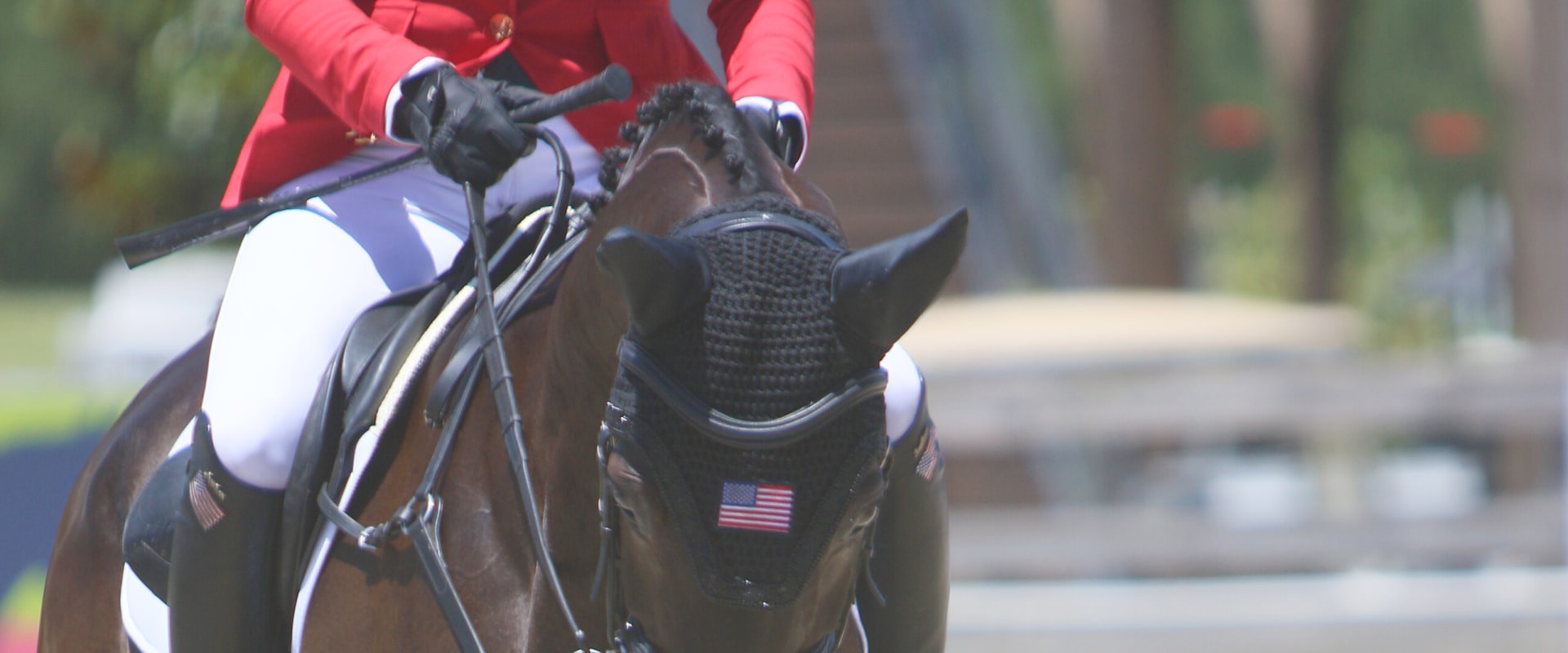 The Magic of Equine Events in Southwest Washington