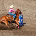 Expert Tips for Staying Updated on Equine Events in Southwest Washington