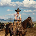 Unlocking Special Discounts for Equine Events in Southwest Washington