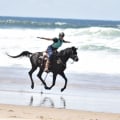 Why You Can't Miss the Equine Expo in Southwest Washington