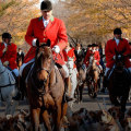 Exploring the Equine Industry in Southwest Washington: Opportunities for Networking and Business Connections