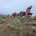 Exploring the Equine Community in Southwest Washington