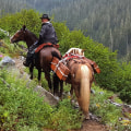 The Ultimate Guide to Bringing Your Horse to Equine Events in Southwest Washington