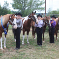 The Benefits of Sponsoring Equine Events in Southwest Washington