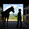 The Ultimate Guide to Attending Equine Events in Southwest Washington