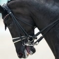 The Importance of Understanding Cancellation Policies for Equine Events in Southwest Washington
