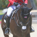 The Magic of Equine Events in Southwest Washington