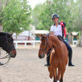 The Impact of Equine Events on Local Charities in Southwest Washington