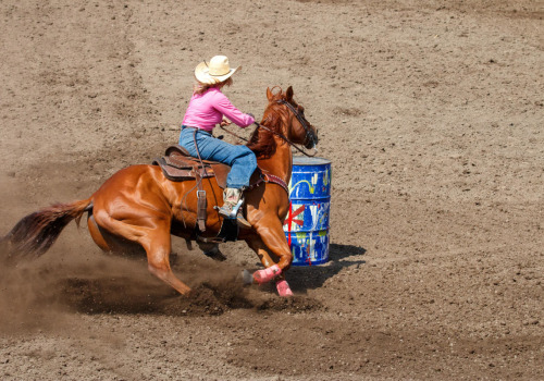Expert Tips for Staying Updated on Equine Events in Southwest Washington