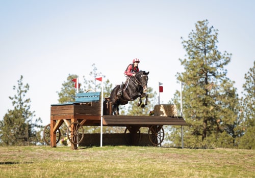Exploring Equine Events in Southwest Washington