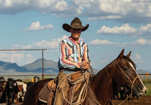 Unlocking Special Discounts for Equine Events in Southwest Washington
