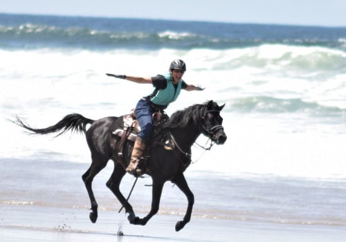 Why You Can't Miss the Equine Expo in Southwest Washington