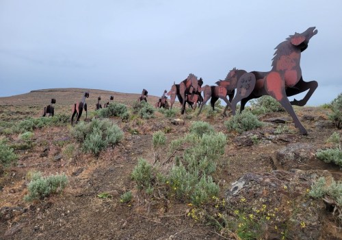 Exploring the Equine Community in Southwest Washington