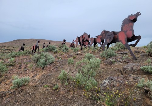 Experience the Ultimate Equine Event in Southwest Washington