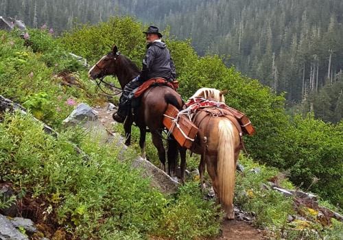 The Ultimate Guide to Bringing Your Horse to Equine Events in Southwest Washington