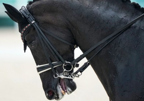 The Importance of Understanding Cancellation Policies for Equine Events in Southwest Washington