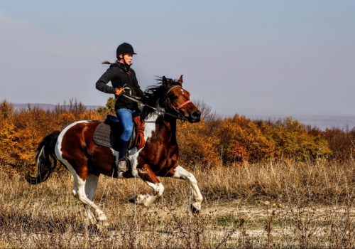 The Ultimate Guide to Volunteering at Equine Events in Southwest Washington